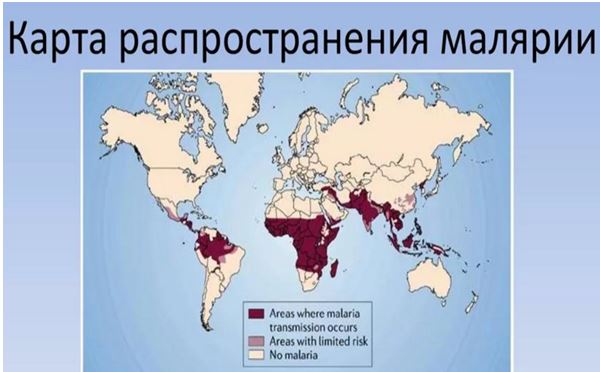 Распространение малярии. Малярия ареал распространения. Карта распространения малярии. Карта малярии в мире.